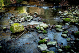 Charmey: le ruisseau du Liderrey pollué au mazout