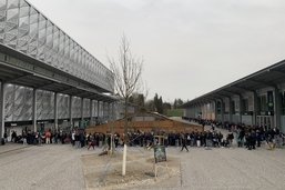 Fribourg-Gottéron: Ils ont fait le pied de grue depuis 5 heures du matin!