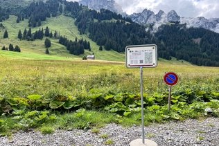 Transports: La ligne de bus alpin entre Charmey et la vallée du Gros Mont de retour cet été